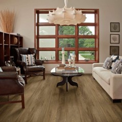 Pantheon HD Plus Shaw Luxury Vinyl - 2001V - 174