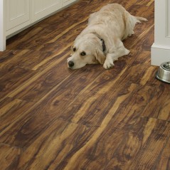 Paragon Plus 7" Shaw Floorte Vinyl Floor - 1020V - 3