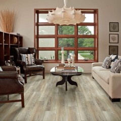 Paragon Plus 7" Shaw Floorte Vinyl Floor - 1020V - 22