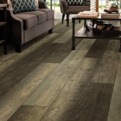 Titan HD Plus Shaw Floorte Vinyl Floor - 2002V - 48