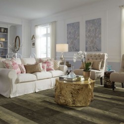 Titan HD Plus Shaw Floorte Vinyl Floor - 2002V - 51