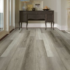 Titan HD Plus Shaw Floorte Vinyl Floor - 2002V - 58
