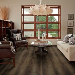 Titan HD Plus Shaw Floorte Vinyl Floor - 2002V - 79