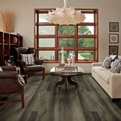 Titan HD Plus Shaw Floorte Vinyl Floor - 2002V - 88