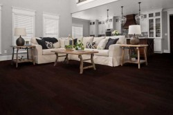 Ocala 5" Shaw Engineered Hardwood Floor - SW590 - 50