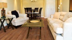 VV023 Coretec Plus 5" Vinyl Plank - VV023 - 11
