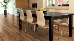 VV023 Coretec Plus 5" Vinyl Plank - VV023 - 19